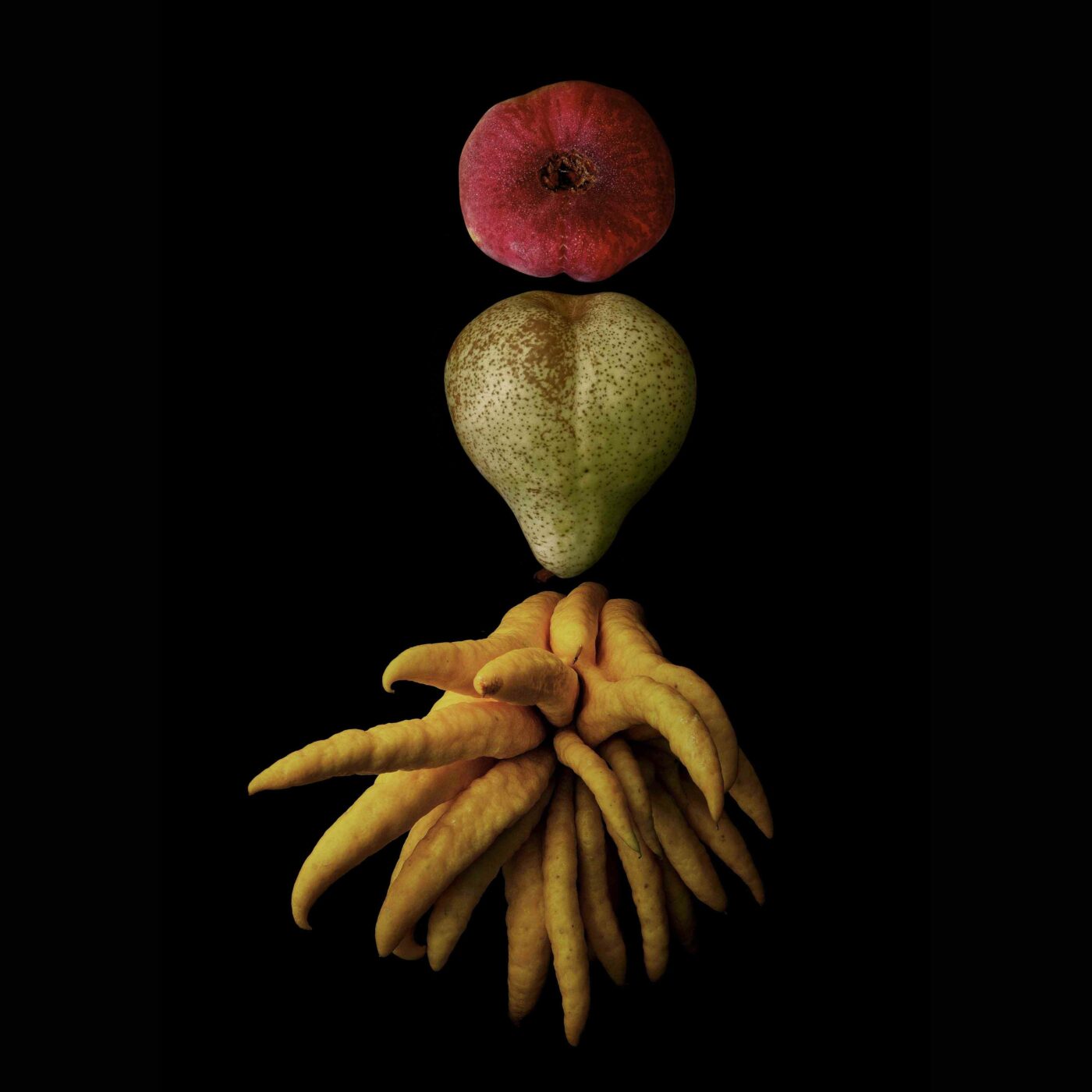 Portrait of Fruit
